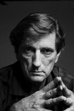 Harry Dean Stanton interpreta Balthazar (voice)