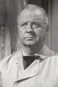 Harry Harvey interpreta First Train Conductor (uncredited)
