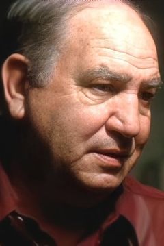 Joseph Rigano interpreta Vincent Borelli