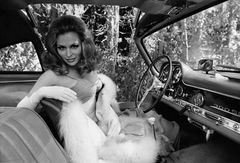 Mariana Hill interpreta Female Reporter (voice)