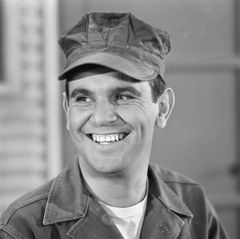 Ronnie Schell interpreta Colonel Calloway (voice)
