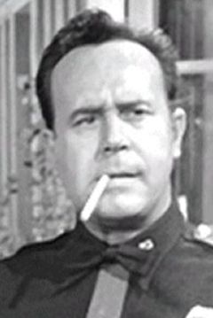 Don Shelton interpreta TV Director (uncredited)