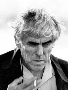 Raoul Coutard interpreta Cameraman