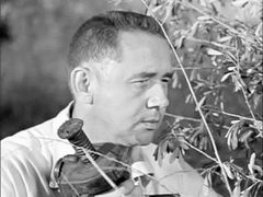 Robert Stevenson interpreta Boom Operator (uncredited)