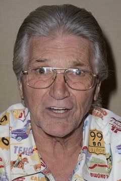 Paul Petersen interpreta David Winters