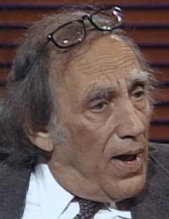 William Kunstler interpreta Lawyer