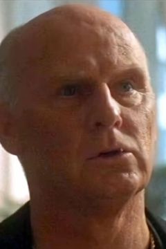 Terry Loughlin interpreta Agent Stark