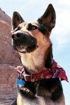 Sadie interpreta Terror Dog