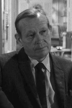 Robert McCord interpreta Elevator Passenger (uncredited)