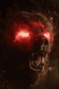 Chuck interpreta Wolf