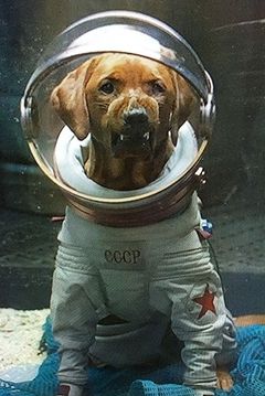 Fred interpreta Cosmo the Space Dog