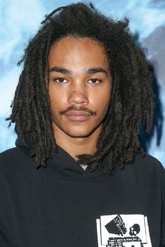 Luka Sabbat interpreta Luca Hall