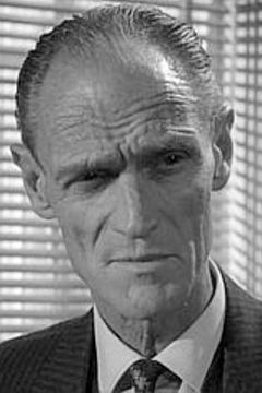 Peter Madden interpreta Political Officer