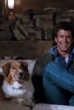 Sam the Dog interpreta Sam the Dog