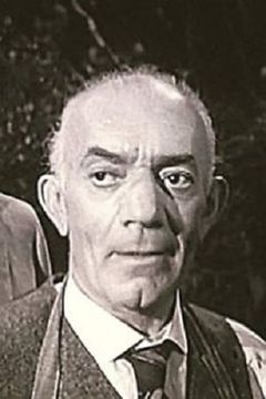 Wolfe Barzell interpreta Israeli Delegate (uncredited)