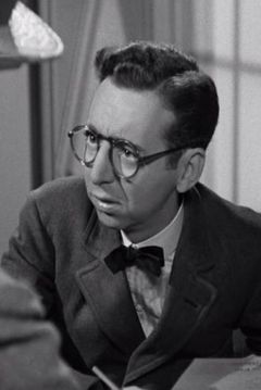 Arnold Stang interpreta Photographer