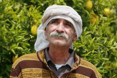 Tarik Kopty interpreta Neighbour