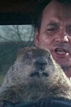 Scooter interpreta The Groundhog