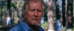 Forrest Fyre interpreta Walter Boles