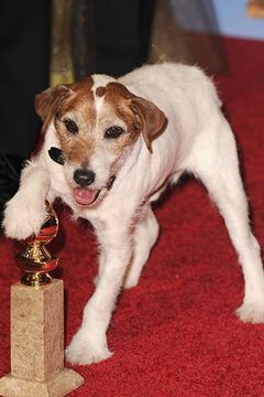 Uggie interpreta Queenie