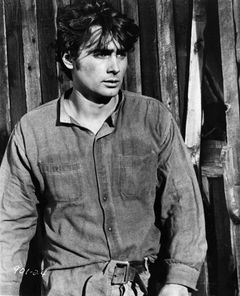 Robert Porter interpreta Young Englishman