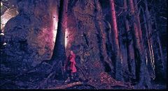 Alena Jakobová interpreta Red Hooded Girl