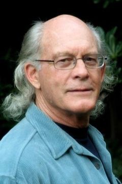 Max Gail interpreta Tunnel Hoodlum (uncredited)