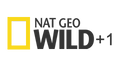 Nat Geo Wild +1