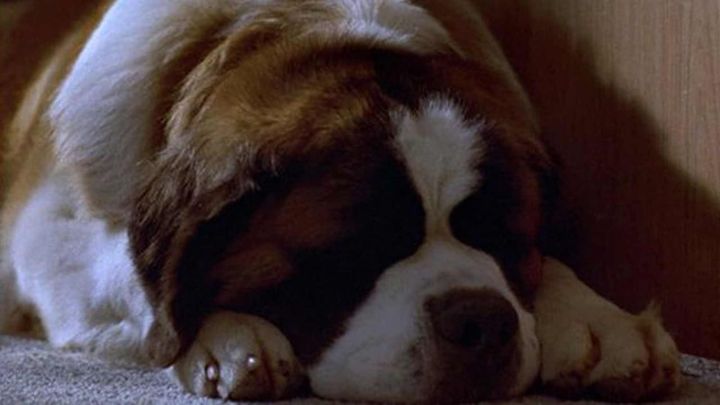 Una scena tratta dal film Beethoven 4