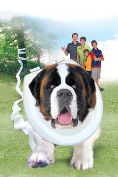 Locandina Beethoven 4