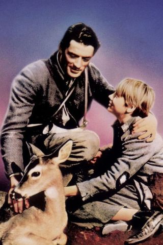 Il cucciolo