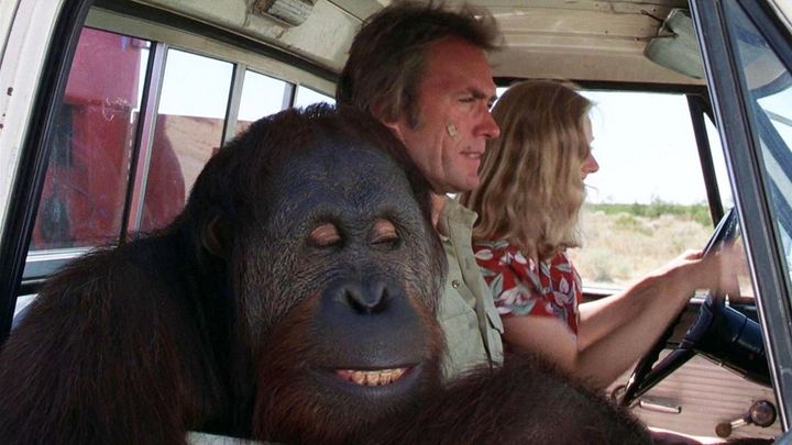 Una scena tratta dal film Fai come ti pare