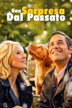Locandina Una sorpresa dal passato