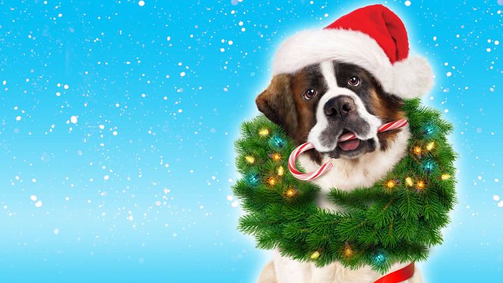 Una scena tratta dal film Beethoven - L'avventura di Natale