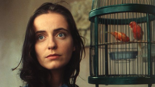 Una scena tratta dal film La valle del peccato