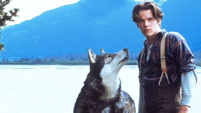Una scena tratta dal film Zanna Bianca - Un piccolo grande lupo