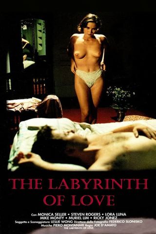 Il labirinto dei sensi