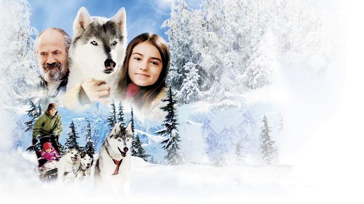 Una scena tratta dal film Il richiamo della foresta