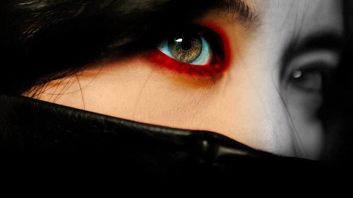 Una scena tratta dal film Lady Vendetta