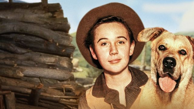 Una scena tratta dal film Zanna gialla