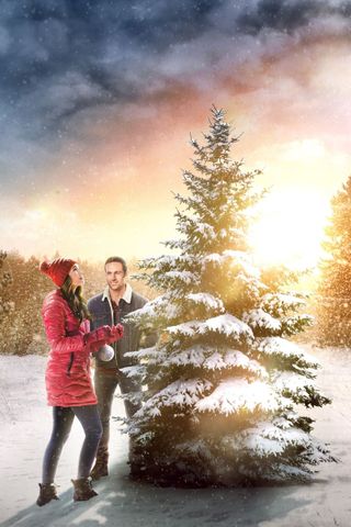 Ricomincio dal Natale