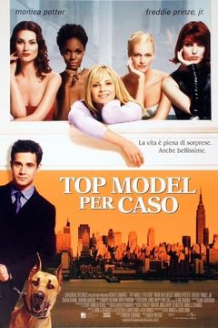 Locandina Top model per caso