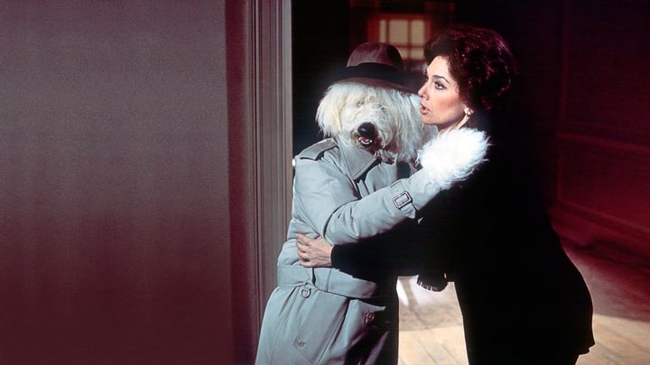 Una scena tratta dal film Quello strano cane di papà