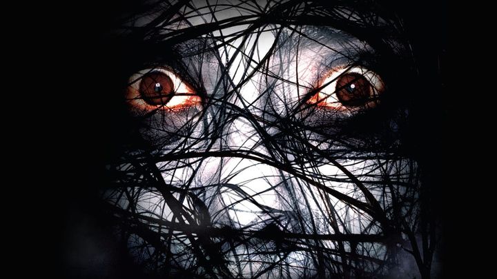 Una scena tratta dal film The Grudge 2