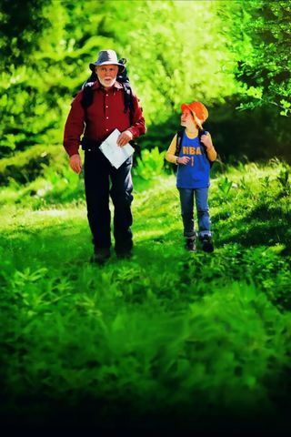 Il miracolo della farfalla