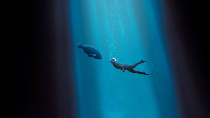 Una scena tratta dal film Blueback