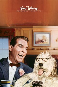 Locandina Geremia, cane e spia