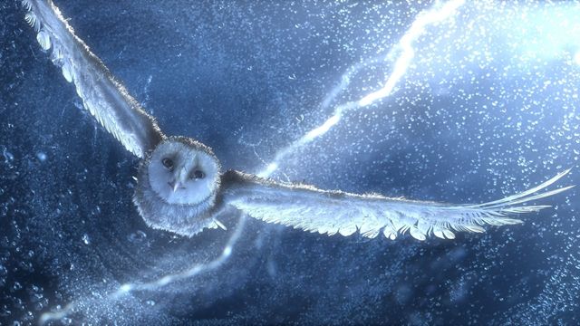 Una scena tratta dal film Il regno di Ga'Hoole - La leggenda dei guardiani