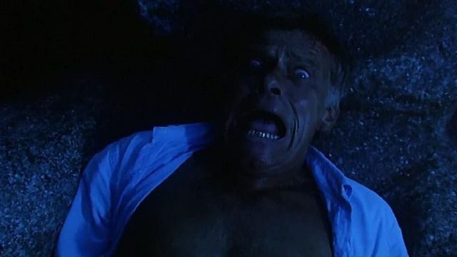 Una scena tratta dal film Maya