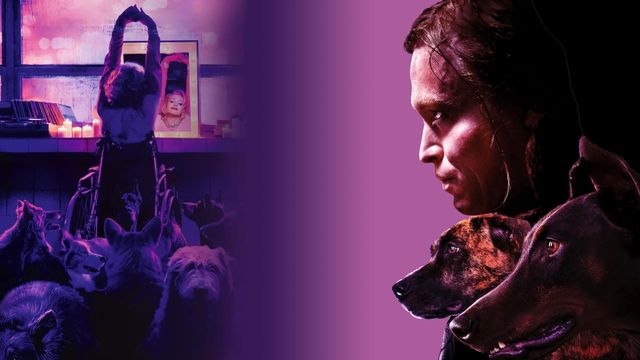 Una scena tratta dal film Dogman